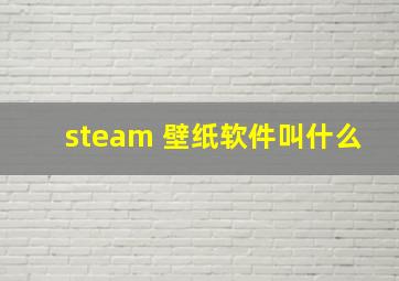 steam 壁纸软件叫什么